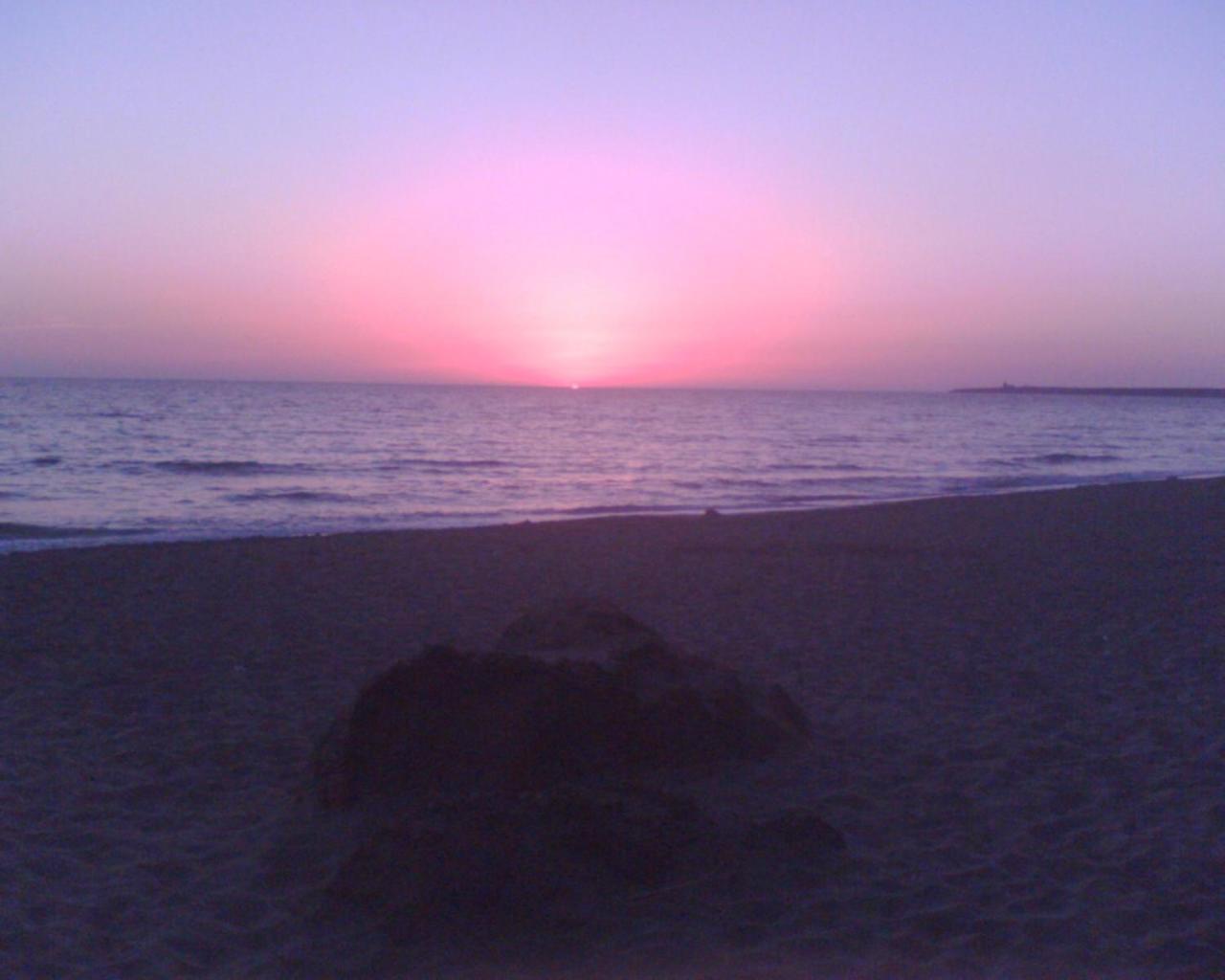 Sardinia Eco Vegan House Bed & Breakfast Zeddiani ภายนอก รูปภาพ