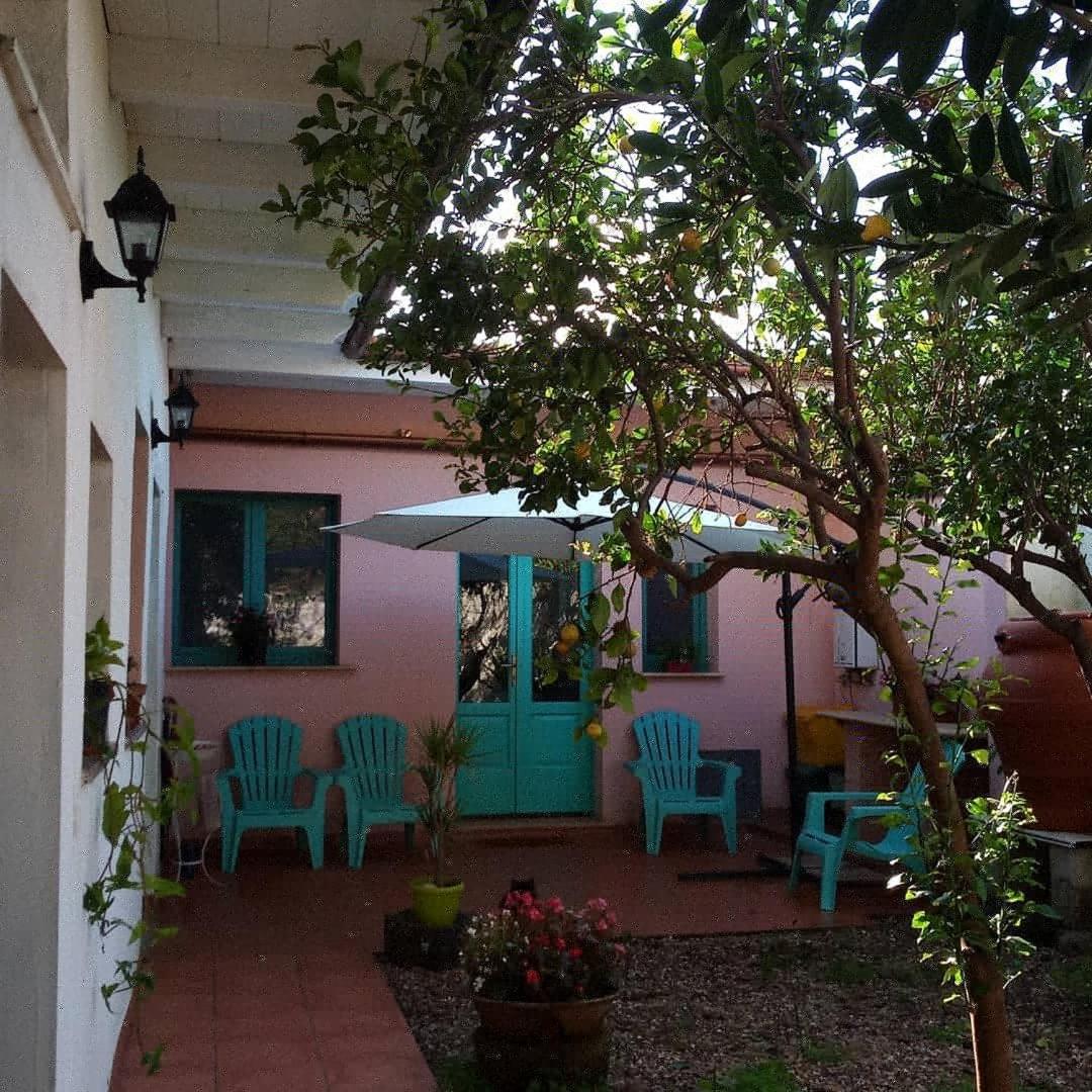 Sardinia Eco Vegan House Bed & Breakfast Zeddiani ภายนอก รูปภาพ