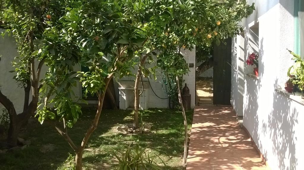 Sardinia Eco Vegan House Bed & Breakfast Zeddiani ภายนอก รูปภาพ