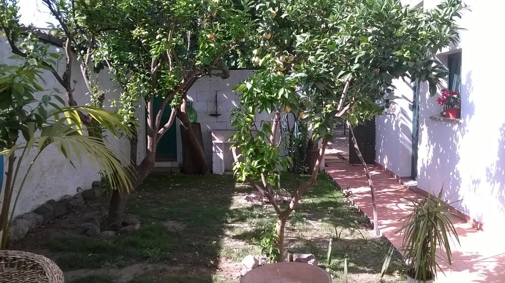 Sardinia Eco Vegan House Bed & Breakfast Zeddiani ภายนอก รูปภาพ